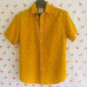 Cactus Man  Ricky Singh  Palm Print Mens Shirt L